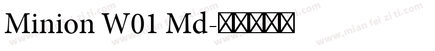 Minion W01 Md字体转换